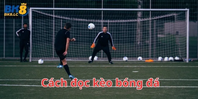 Cách đọc kèo bóng đá